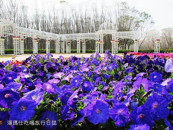 彰化_溪州_溪州公園_費茲洛公園_26