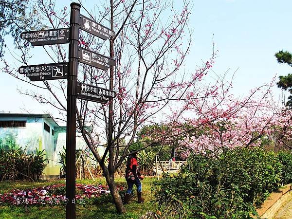 新竹市立動物園,新竹賞櫻,麗池文化祭,春節親子景點_09