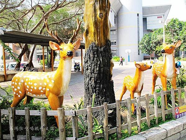 新竹市立動物園,新竹賞櫻,麗池文化祭,春節親子景點_03