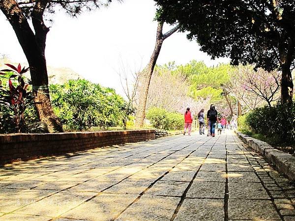 新竹市立動物園,新竹賞櫻,麗池文化祭,春節親子景點_12