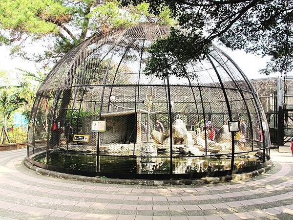 新竹市立動物園,新竹賞櫻,麗池文化祭,春節親子景點_18