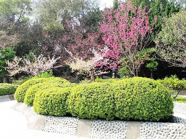 新竹市立動物園,新竹賞櫻,麗池文化祭,春節親子景點_14