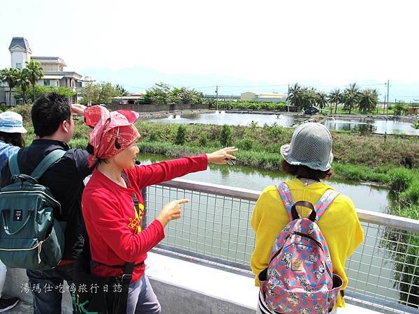 屏東景點,屏東生態旅遊,屏東親子景點,光采濕地_22