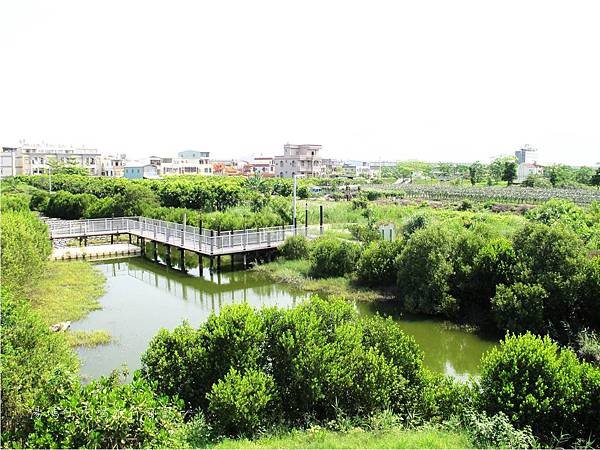 屏東景點,屏東生態旅遊,屏東親子景點,光采濕地_06