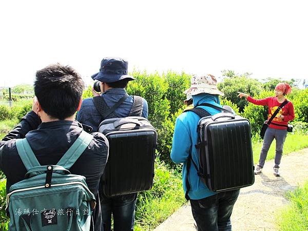 屏東景點,屏東生態旅遊,屏東親子景點,光采濕地_05