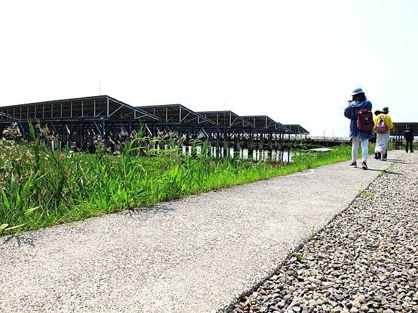 屏東景點,屏東生態旅遊,屏東親子景點,光采濕地_18