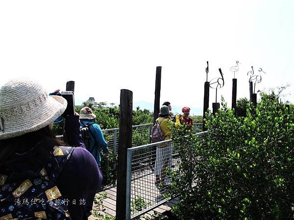 屏東景點,屏東生態旅遊,屏東親子景點,光采濕地_07