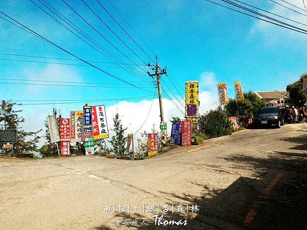 南投鹿谷景點,大崙山銀杏林,武岫農圃,銀杏森林,大石公步道,南投銀杏林_12