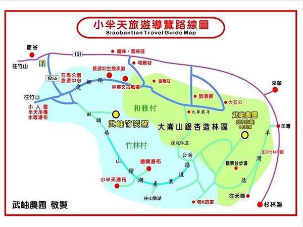 南投鹿谷景點,大崙山銀杏林,武岫農圃,銀杏森林,大石公步道,南投銀杏林_04