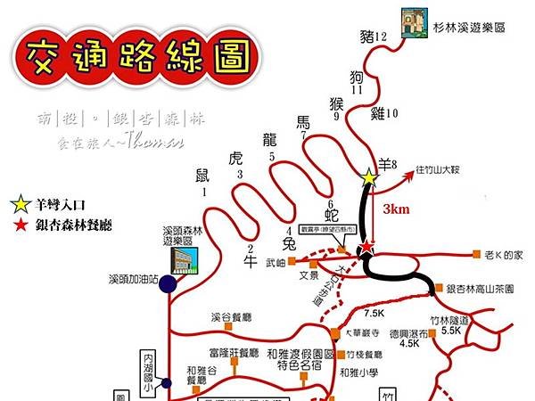 南投鹿谷景點,大崙山銀杏林,武岫農圃,銀杏森林,大石公步道,南投銀杏林_03