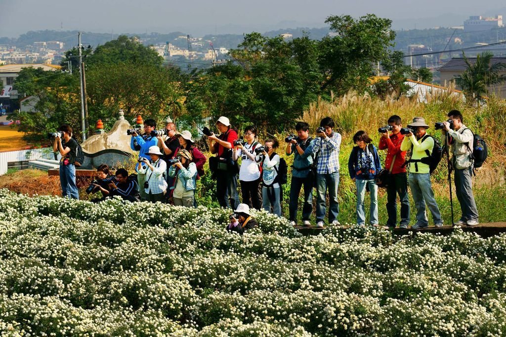 2010-11-27-苗栗銅鑼杭菊外拍團體酷照-2-1