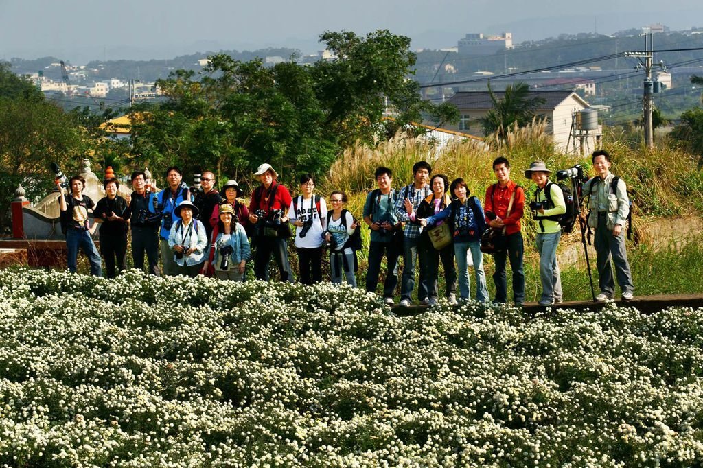 2010-11-27-苗栗銅鑼杭菊外拍團體酷照-1