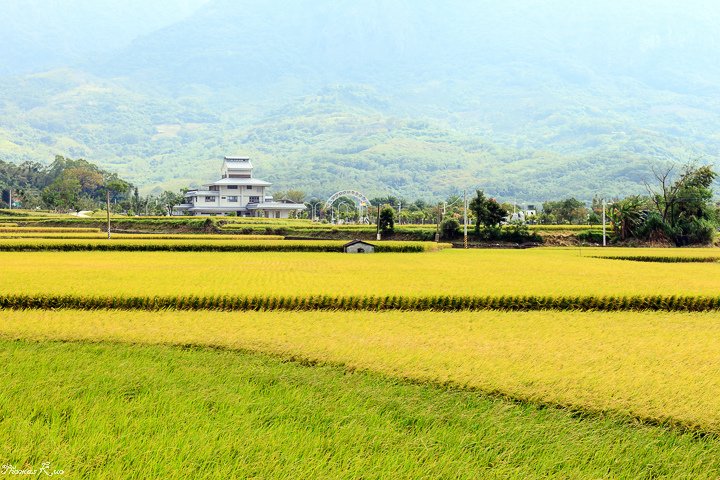 2013-10 花東_005.JPG