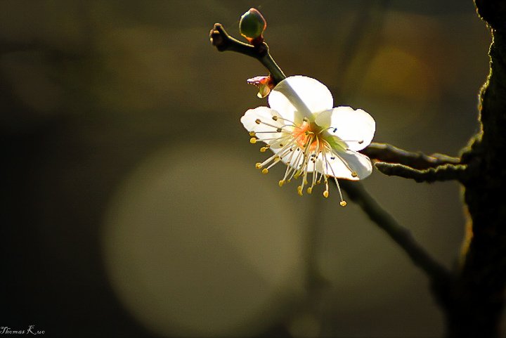 2012 烏松崙_008.JPG