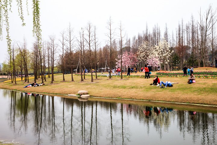 2013-3 上海辰山_025.JPG
