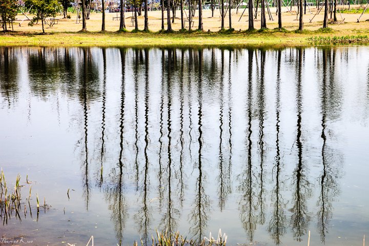 2013-3 上海辰山_027.JPG