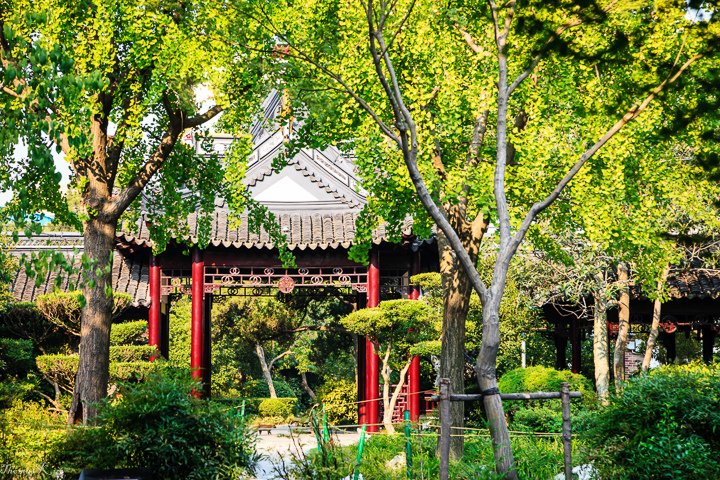 2013-8 桂林公園_024.JPG