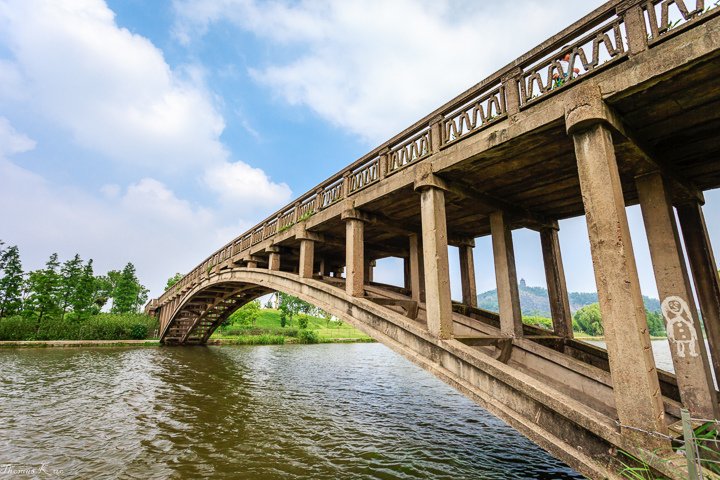 2013-5 辰山_004.JPG