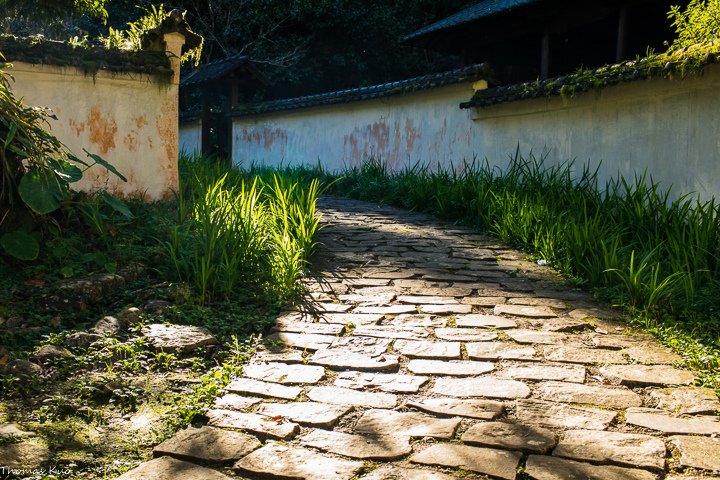 05.jpg