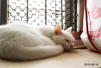 20100616-3.jpg