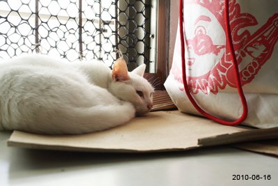 20100616-2.jpg