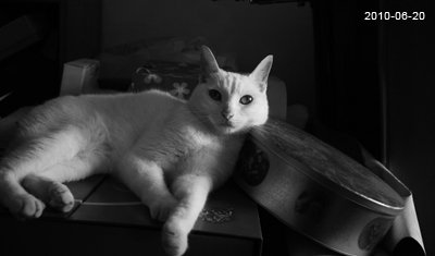 20100620-9.jpg