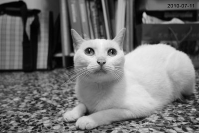 20100711-3.jpg