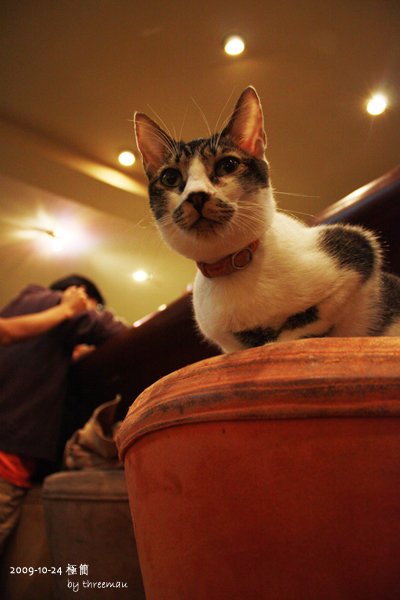 20091024_9.jpg