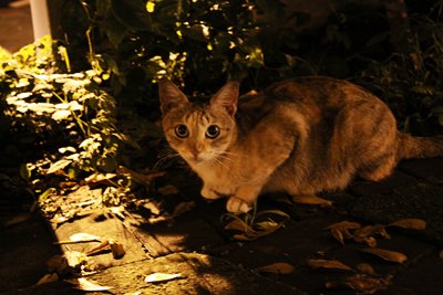 20091024_14.jpg