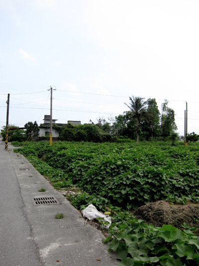 20100324-3.jpg