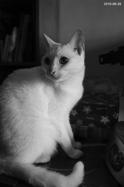 20100620-7.jpg