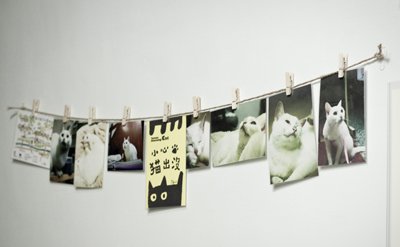 20110508_3.jpg