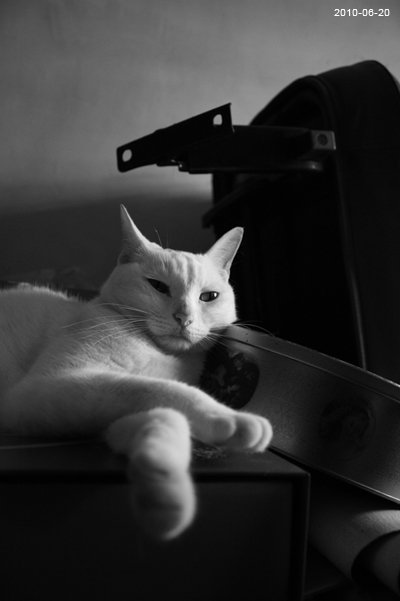 20100620-11.jpg