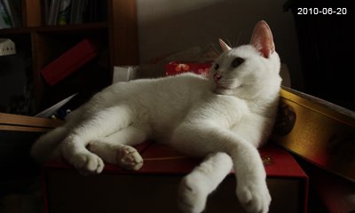 20100620-12.jpg