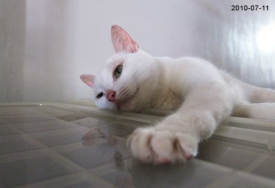 20100711-1.jpg