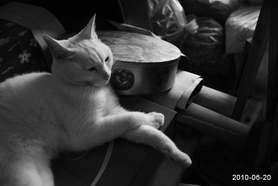 20100620-10.jpg