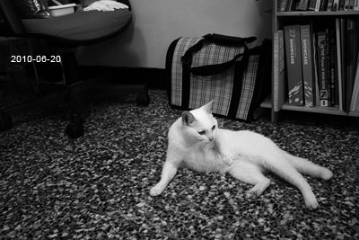 20100620-6.jpg