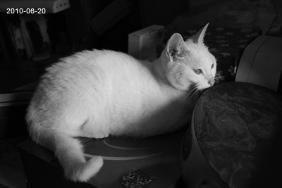 20100620-8.jpg
