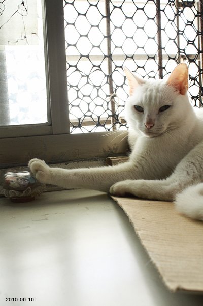 20100616-1.jpg