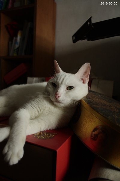 20100620-13.jpg