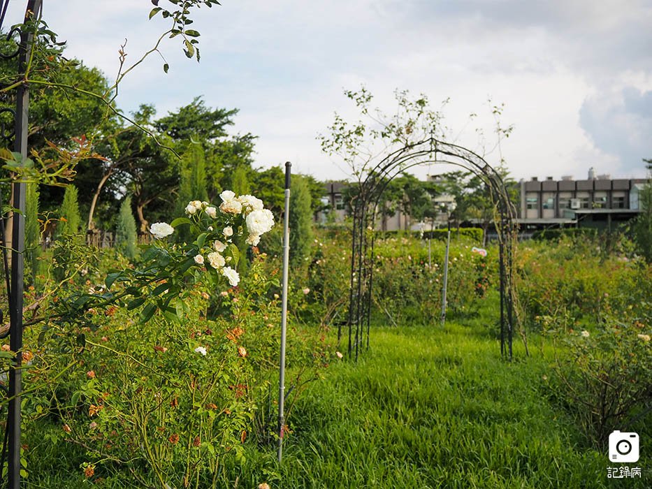 花博公園+玫瑰園+典藏植物園+迷宮-16 (2).jpg