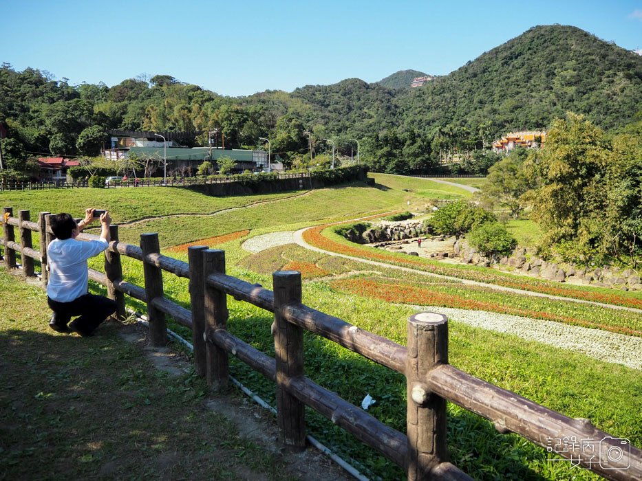 大溝溪生態治水園區-內湖秘境 (10).jpg