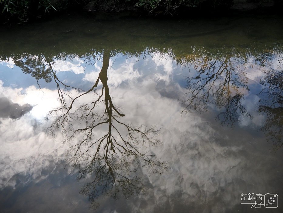 大溝溪生態治水園區-內湖秘境 (58).jpg