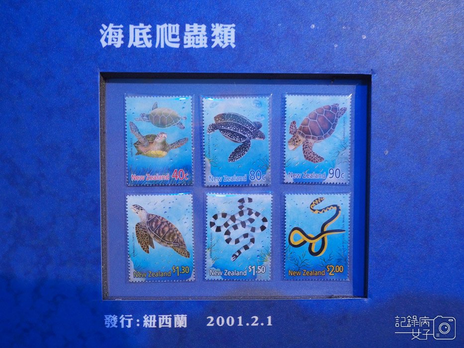 北門郵局_悠游之樂 海洋生物郵票特展 (10).JPG