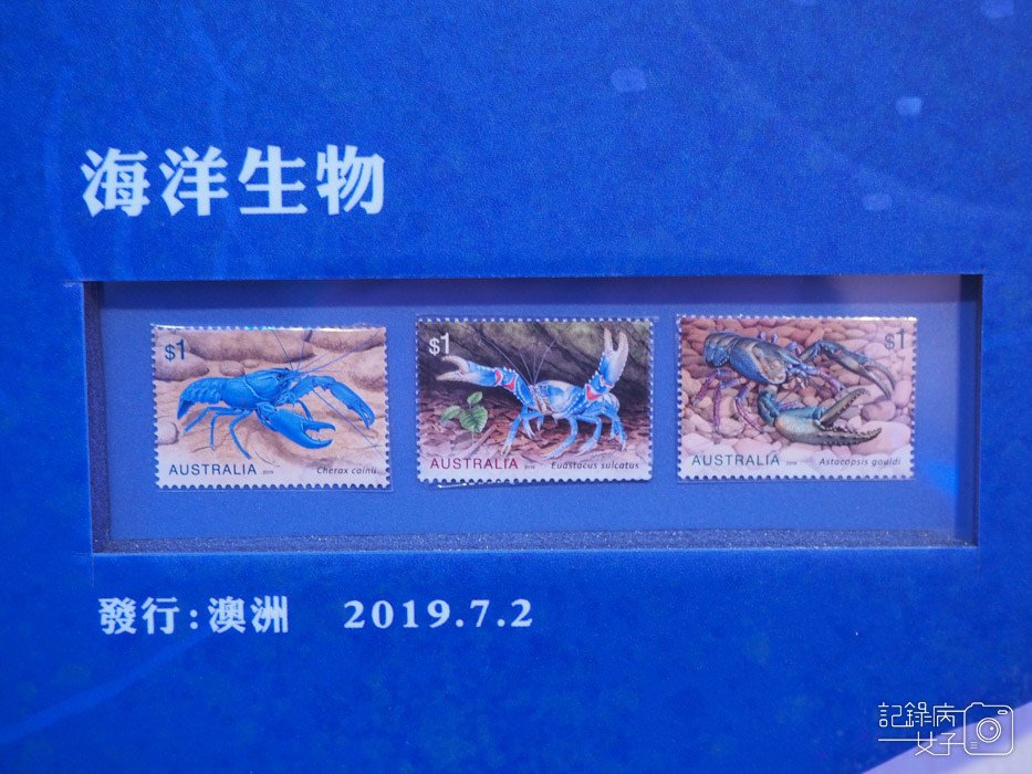 北門郵局_悠游之樂 海洋生物郵票特展 (13).JPG