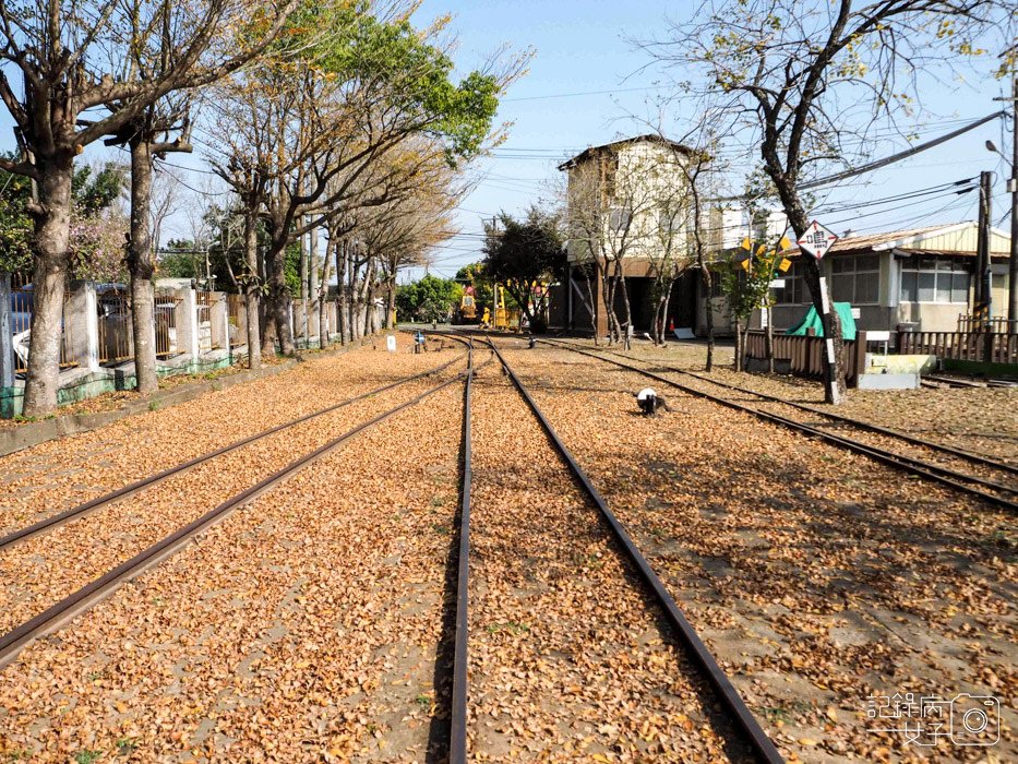 蒜頭糖廠蔗埕文化園區x五分車台糖冰品1.jpg