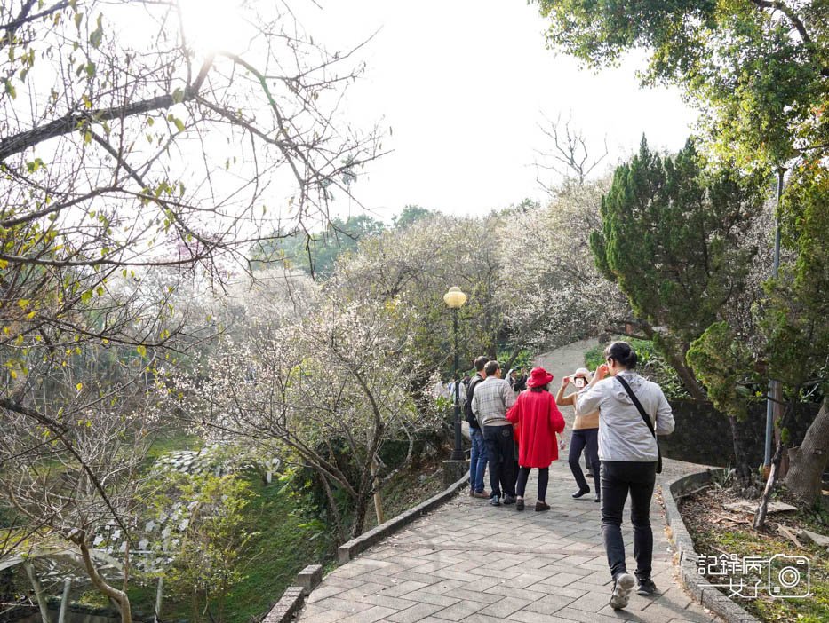 6嘉義梅山公園梅花公園現代文學步道.jpg