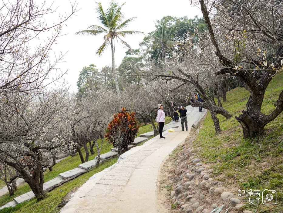 8嘉義梅山公園梅花公園現代文學步道.jpg