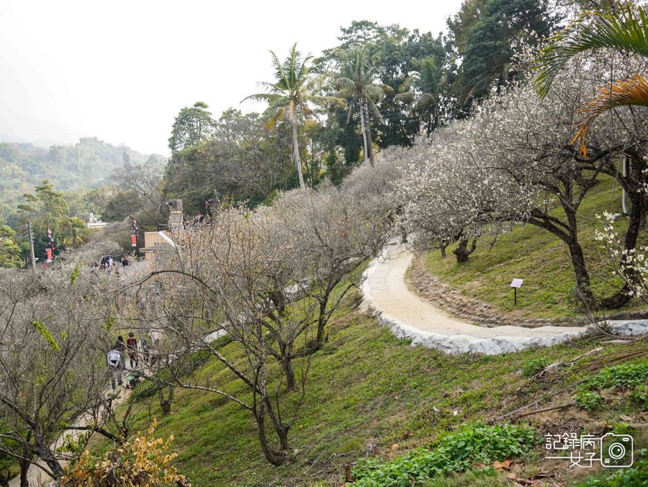 7嘉義梅山公園梅花公園現代文學步道.jpg