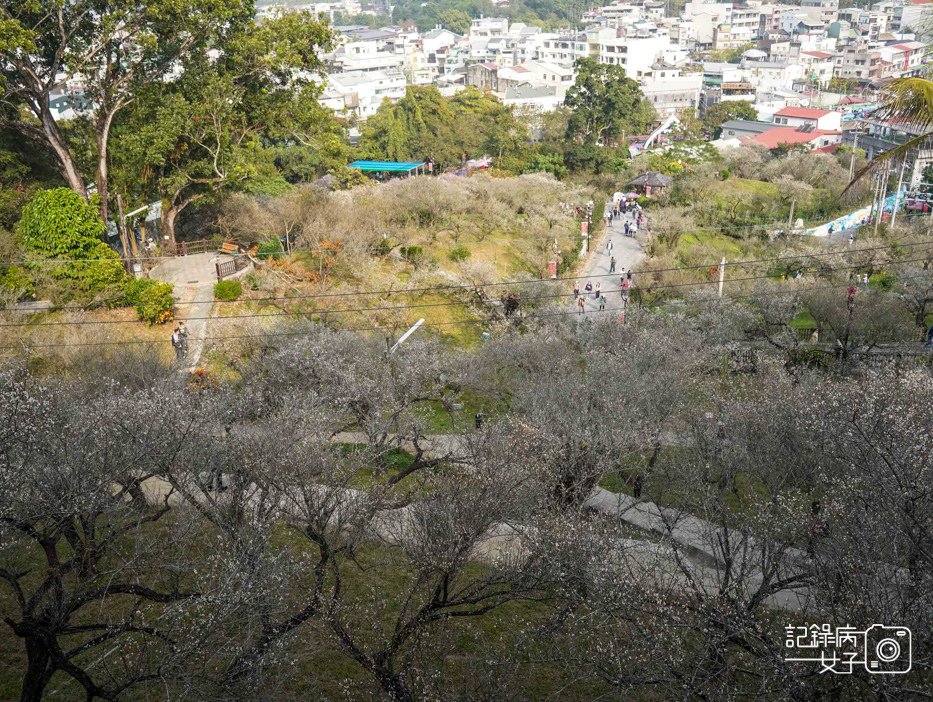 10嘉義梅山公園梅花公園現代文學步道.jpg